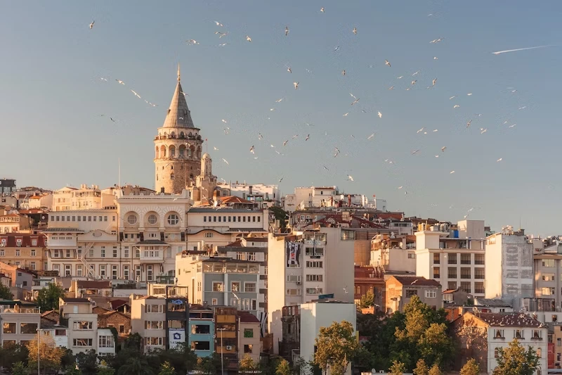 turkey800x533 turkey800x533